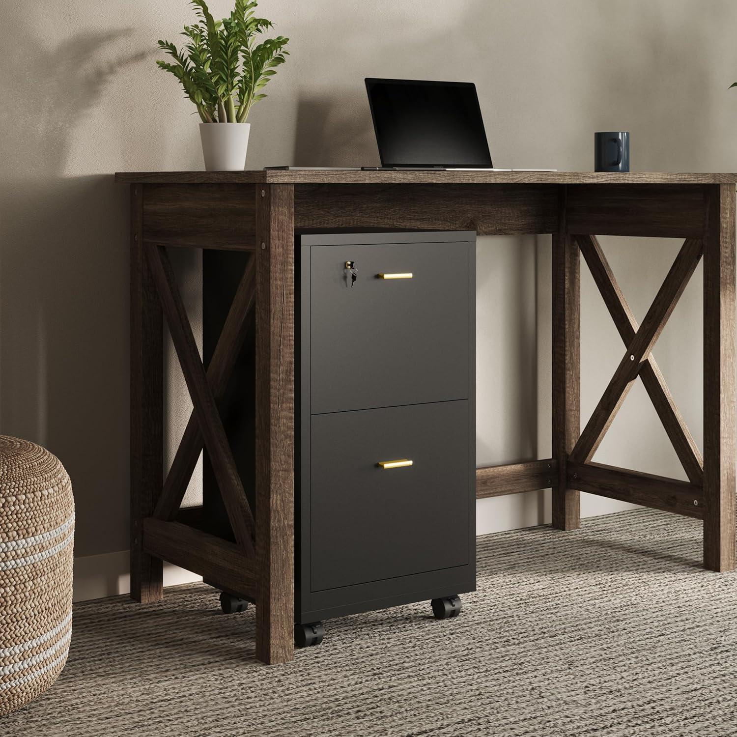 imageFile Cabinet 2Drawer Cabinet with Lock and Deep Drawer Storage Rolling Filing Cabinet for Under The Desk Home or Office by Lavish Home BlackBlack