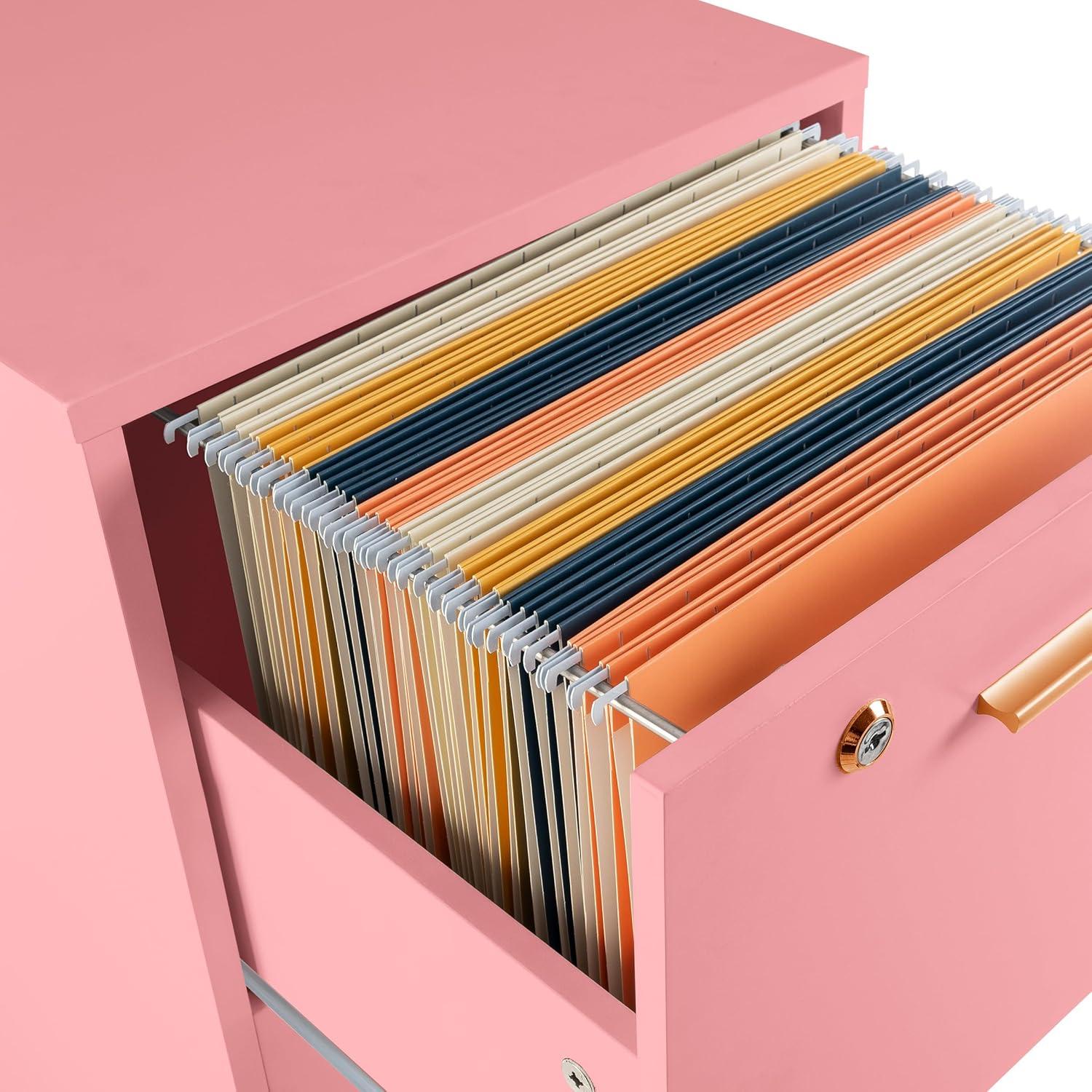 imageFile Cabinet 2Drawer Cabinet with Lock and Deep Drawer Storage Rolling Filing Cabinet for Under The Desk Home or Office by Lavish Home BlackPink