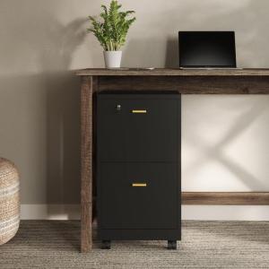 File Cabinet – 2-Drawer Cabinet with Lock and Deep Drawer Storage – Rolling Filing Cabinet for Under The Desk, Home, or Office by Lavish Home (Black)(Black)