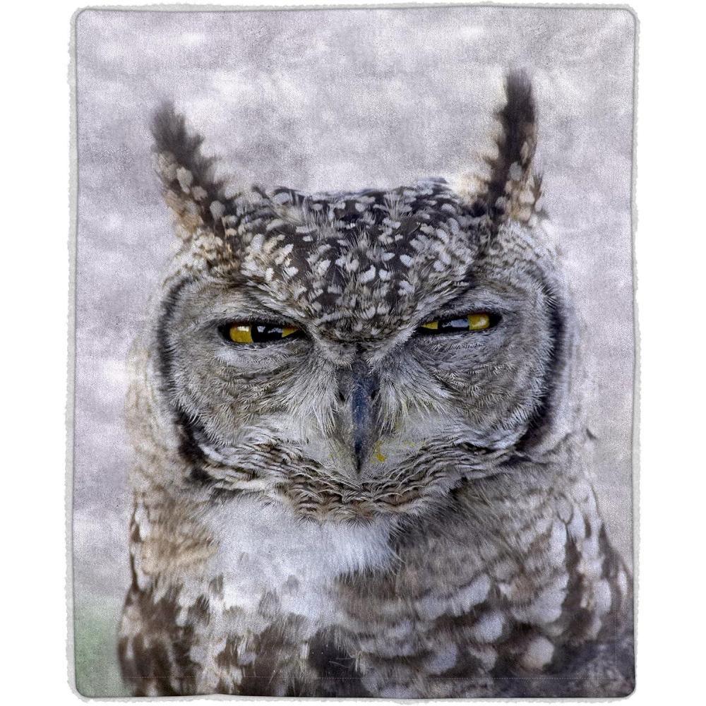 imageSherpa Fleece Throw Blanket Owl Print Pattern Lightweight Hypoallergenic Bed or Couch Soft Cozy Plush Blanket for Adults and Kids by Lavish Home
