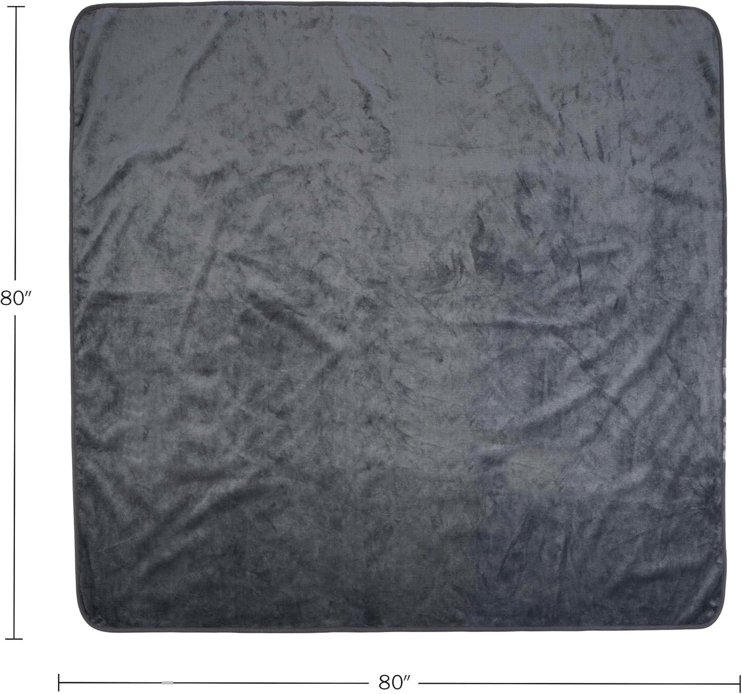 imageWaterproof Blanket for Bed Couch or Car 60 x 80 Reversible Queen Size Throw Blanket for Reliable Leakproof Furniture Protection Washable Pet Throws by Lavish Home Snow Leopard PrintGray