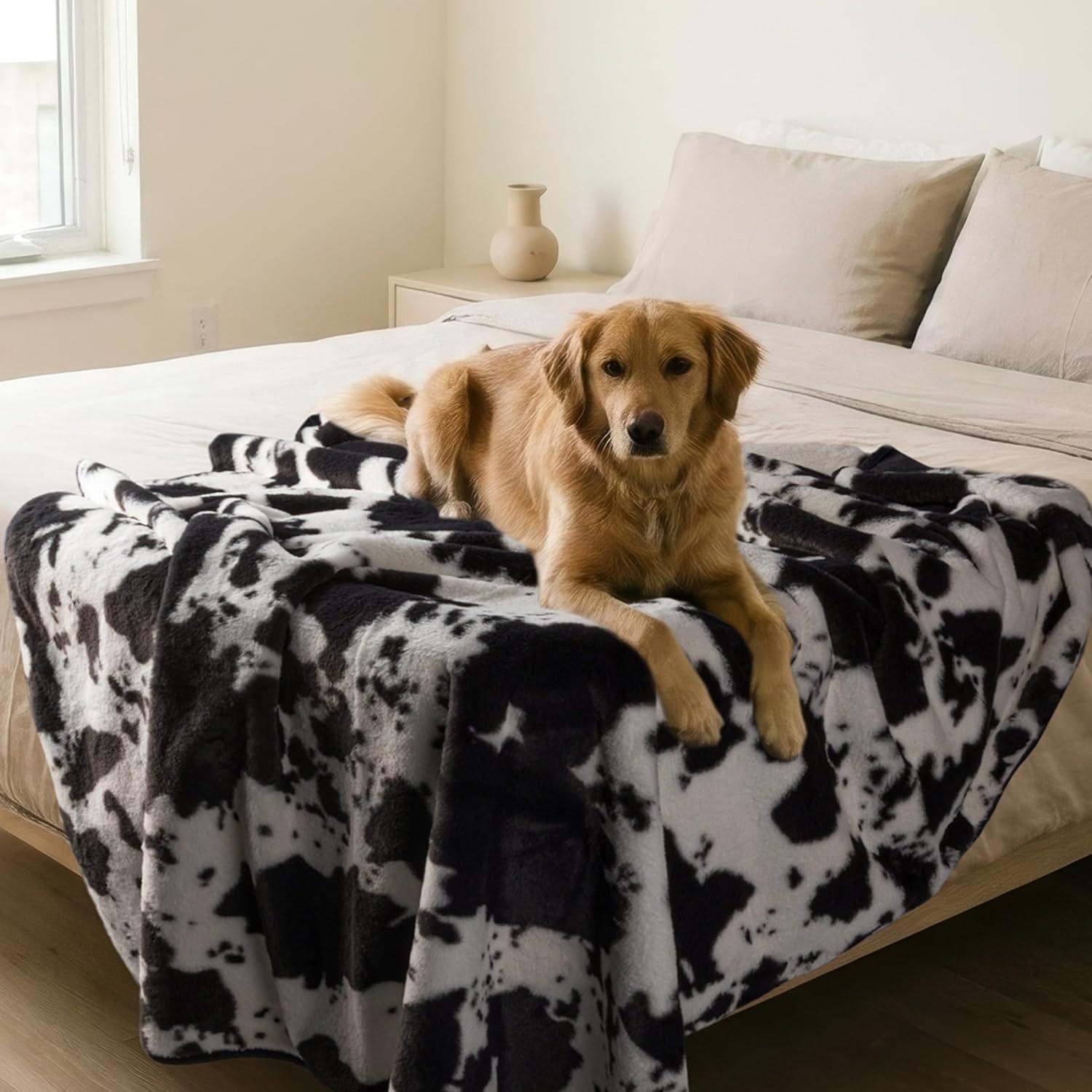 imageWaterproof Blanket for Bed Couch or Car 60 x 80 Reversible Queen Size Throw Blanket for Reliable Leakproof Furniture Protection Washable Pet Throws by Lavish Home Snow Leopard PrintBlackWhite