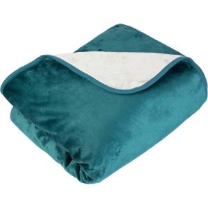 Waterproof Blanket for Bed, Couch, or Car – 60” x 80” Reversible Queen Size Throw Blanket for Reliable Leakproof Furniture Protection – Washable Pet Throws by Lavish Home (Snow Leopard Print)(Green)